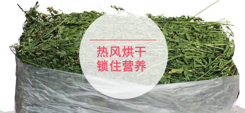 宠物兔子吃苜宿草有什么好处?