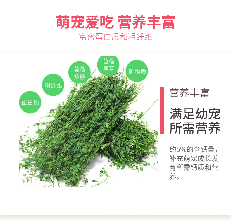 紫花苜蓿干草|饲料宠物兔苜蓿草